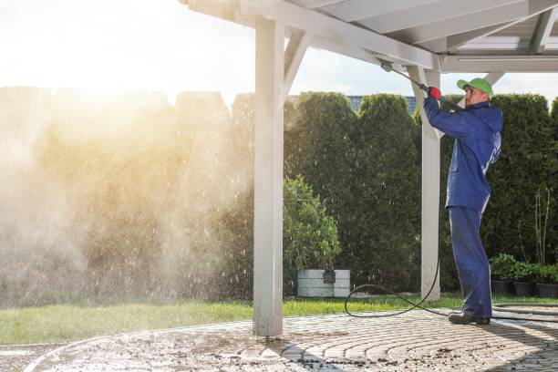 Best Window and Screen Pressure Cleaning in Fox Lake, IL